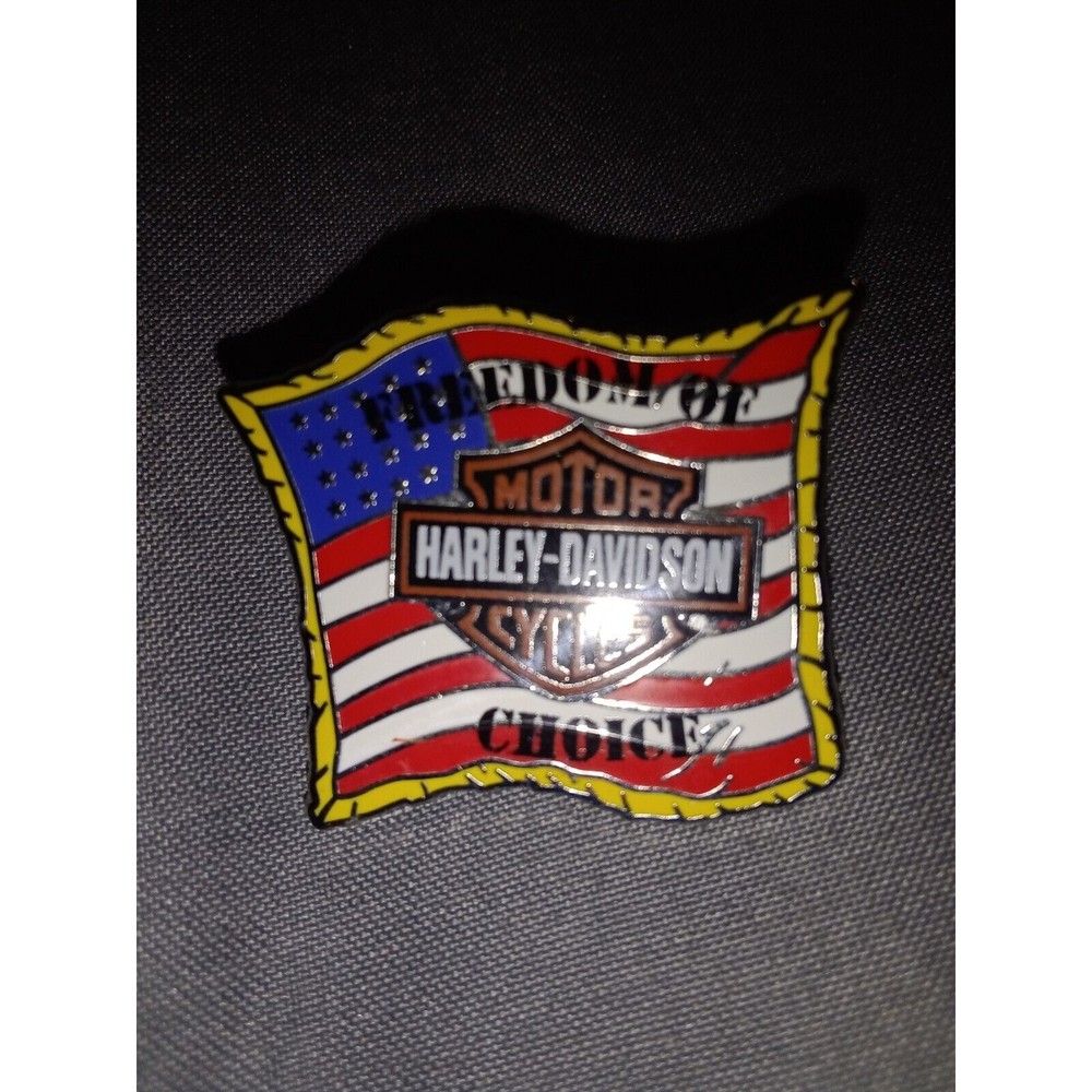 2011 Harley Davidson Freedom Of Choice Biker Lapel Pin